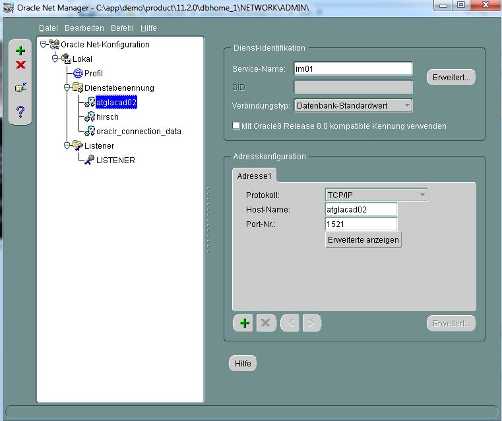 Adding a db service in 11g